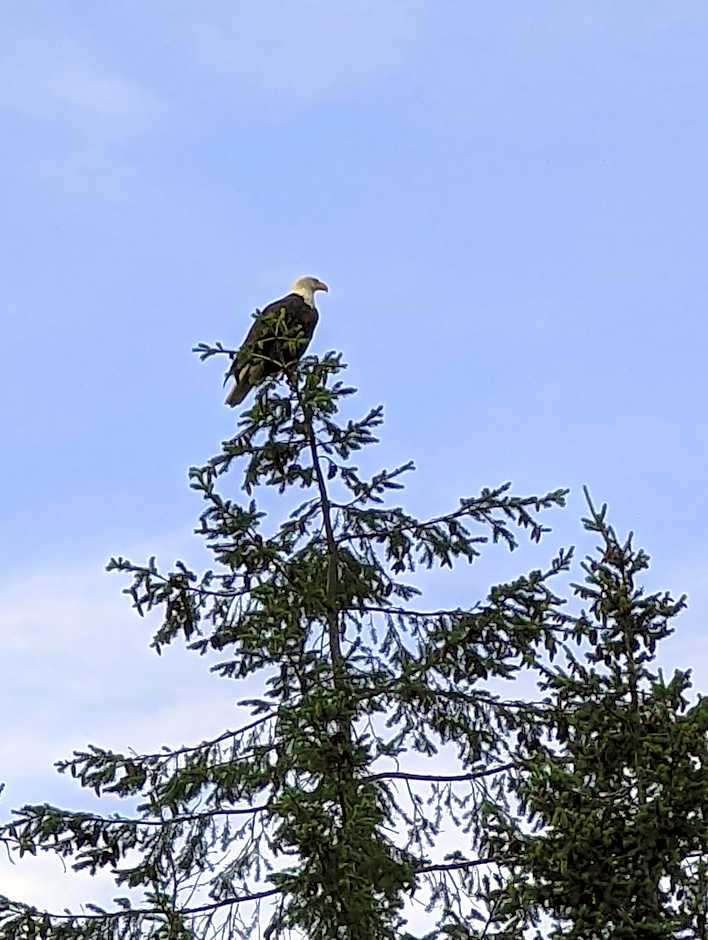 Maple Rise Guesthouse