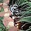 Woodpecker Guesthouse Middelburg Mpumalanga
