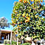 Hotel Rural de Charme Maria da Fonte