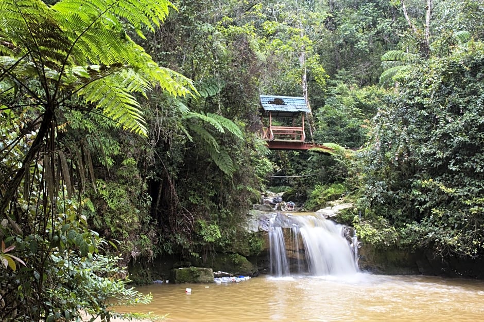 Suria Cameron Hotel A