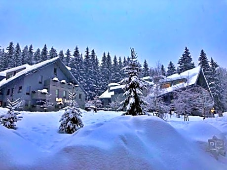 Resident Resort Harrachov & Grotta Spa