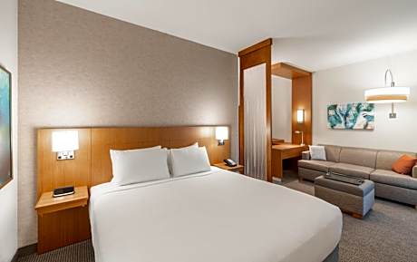 Specialty King Room with Sofa Bed