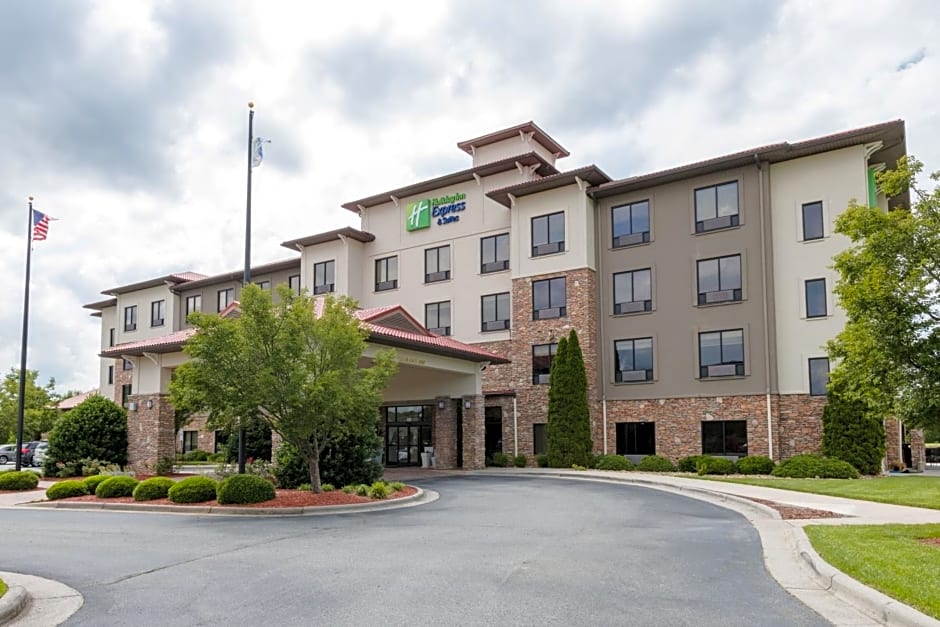 Holiday Inn Express Hotel & Suites Lexington NW-The Vineyard