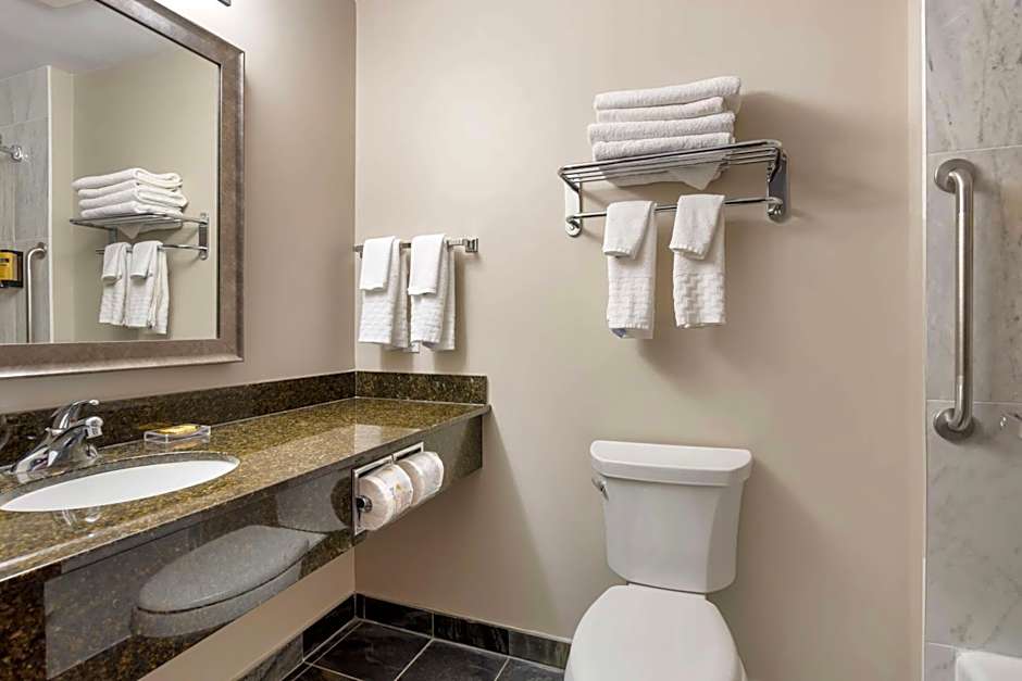 Best Western Plus Brandon Inn