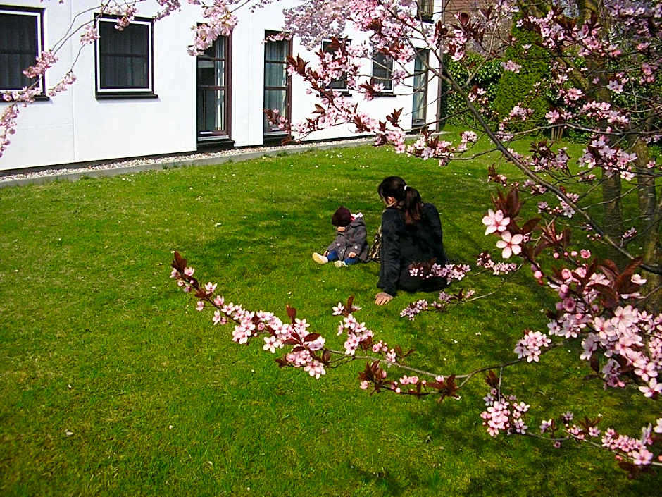 Lindenhotel Stralsund