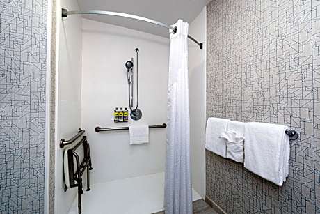 1 King Bed Suite Mobility Accessible Roll Shower