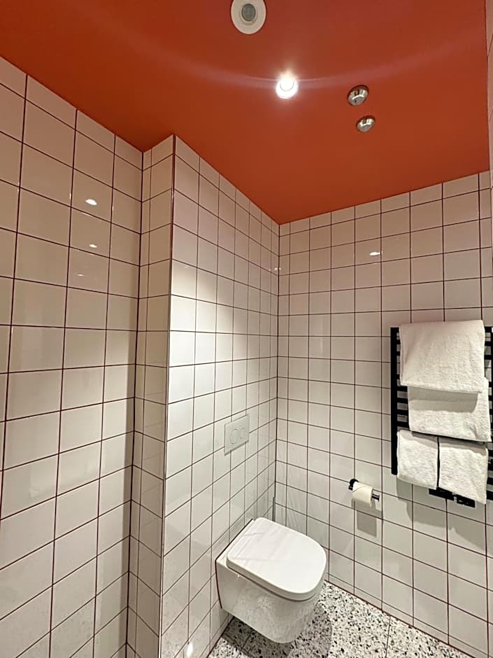 Hotel Alpina Luzern