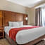 Comfort Suites Spring