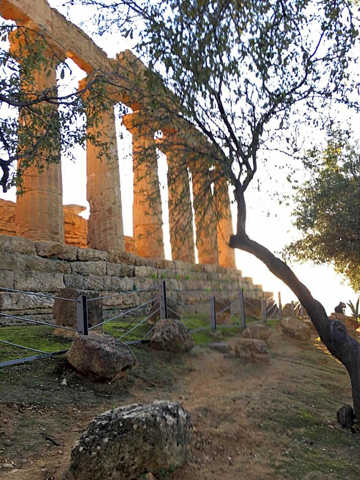 Alludo Aparthotel b&b