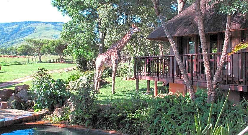 Caracal Lodge