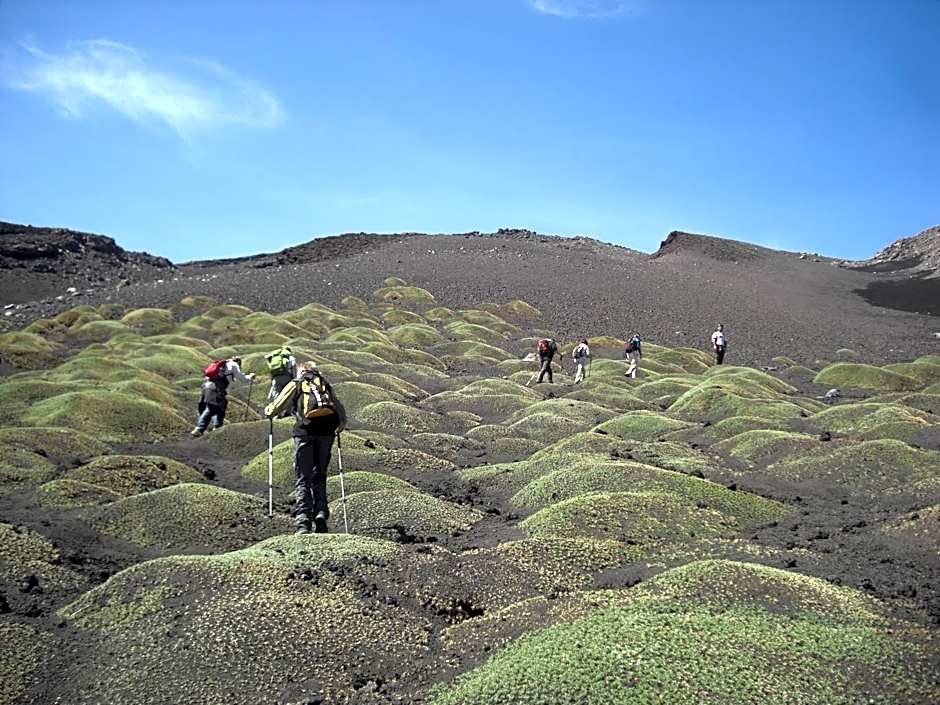 Sotto Il Vulcano