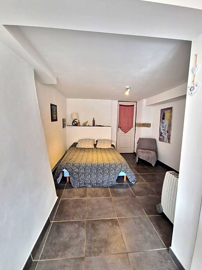 Le camélia de la mazarié