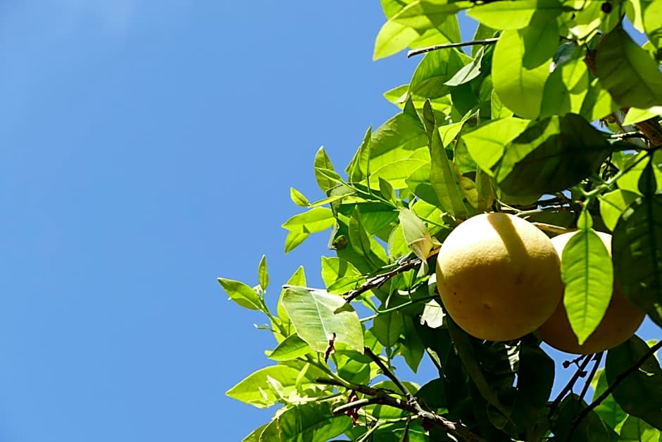 Boutique hôtel Maria-Christina