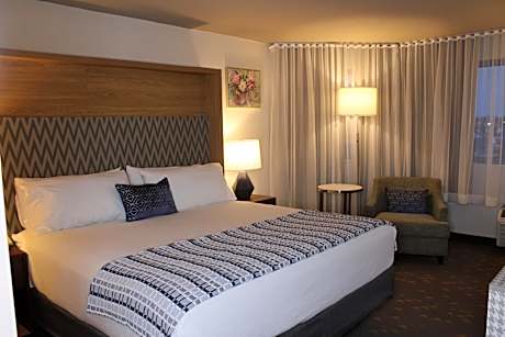 1 King Bed Non-Smoking