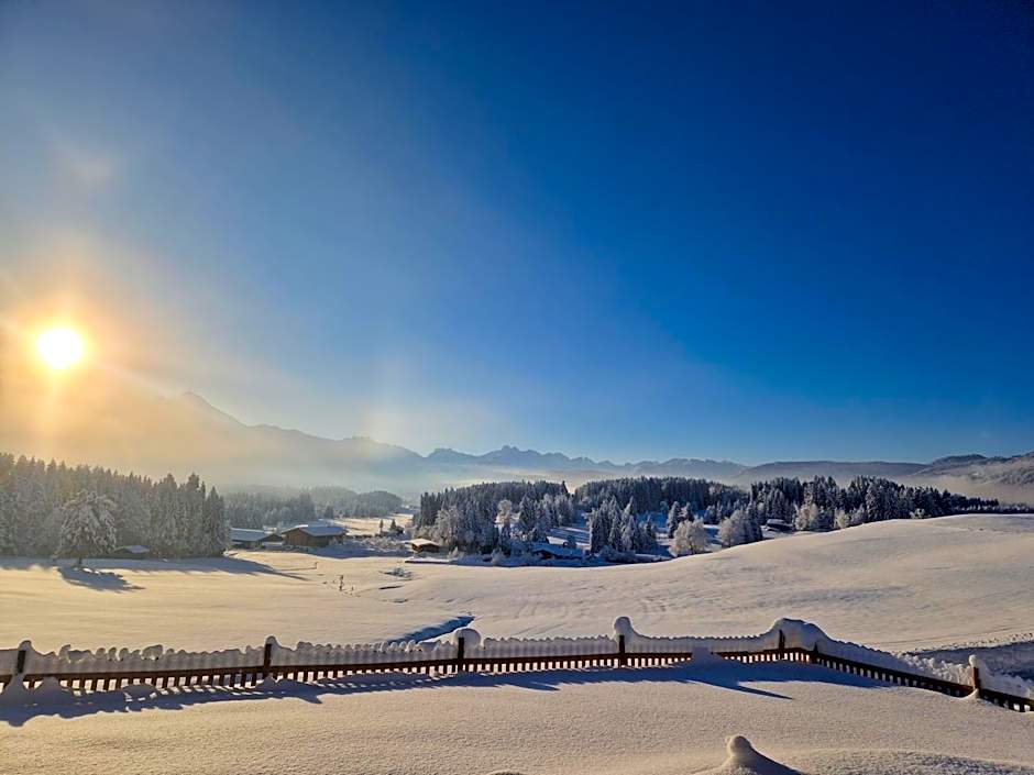 Platzhirsch Ofterschwang