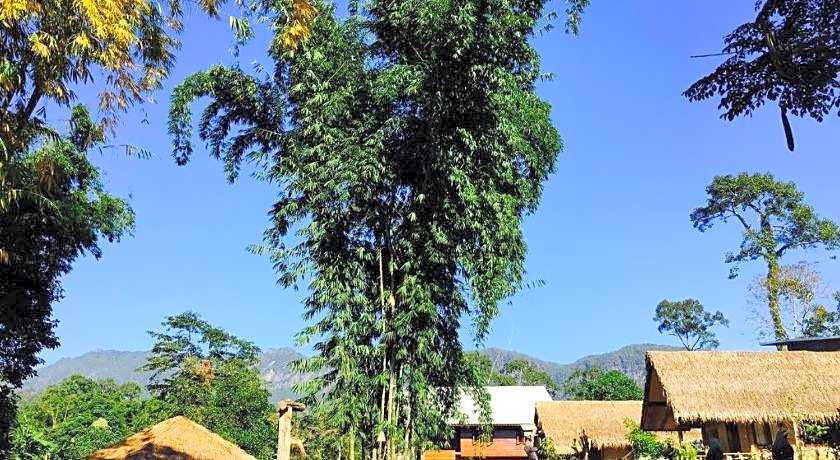 Chiang Dao Hut