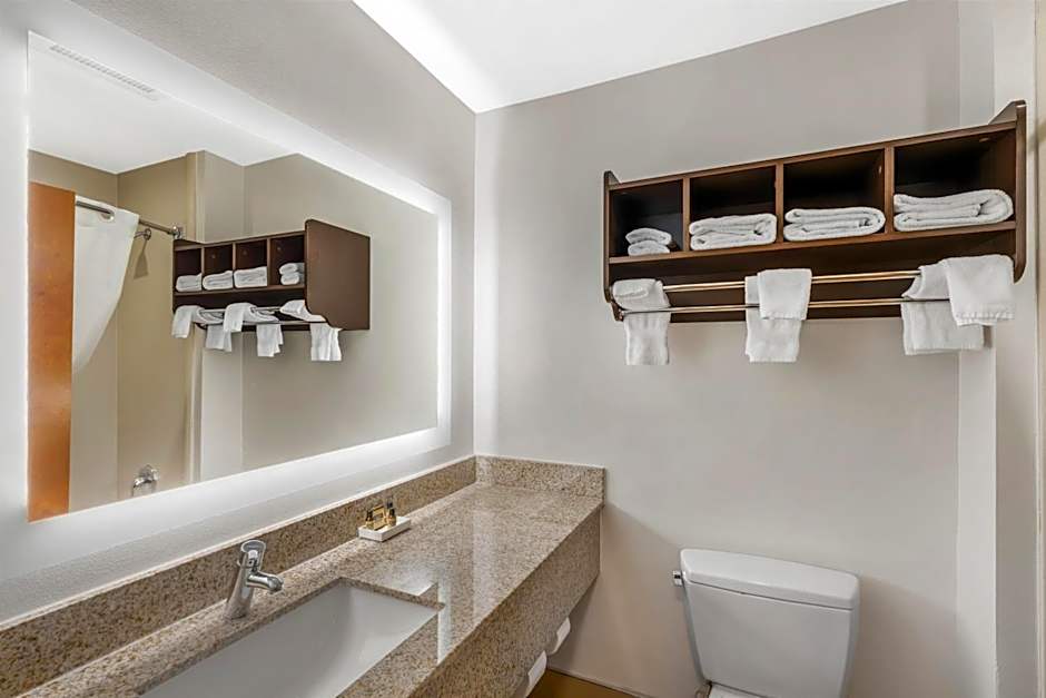 Best Western Plus McDonough Inn & Suites