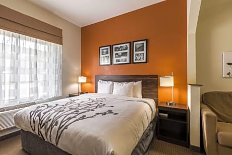 1 King Bed, Suite, Nonsmoking, Accessible