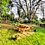Robin Hill Heritage Guest House
