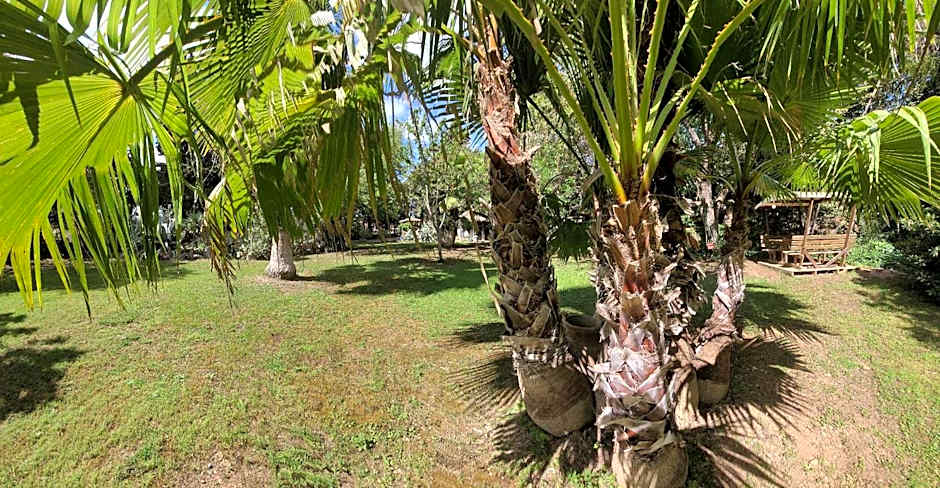 Les jardins du Patriarche Hôtel