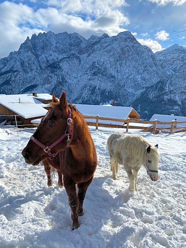 Southern Stables Ranch