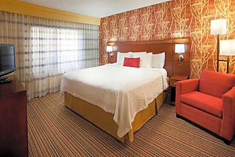 Room, 1 King Bed with Sofa bed (1 King Bed and 1 Double Sofa Bed)