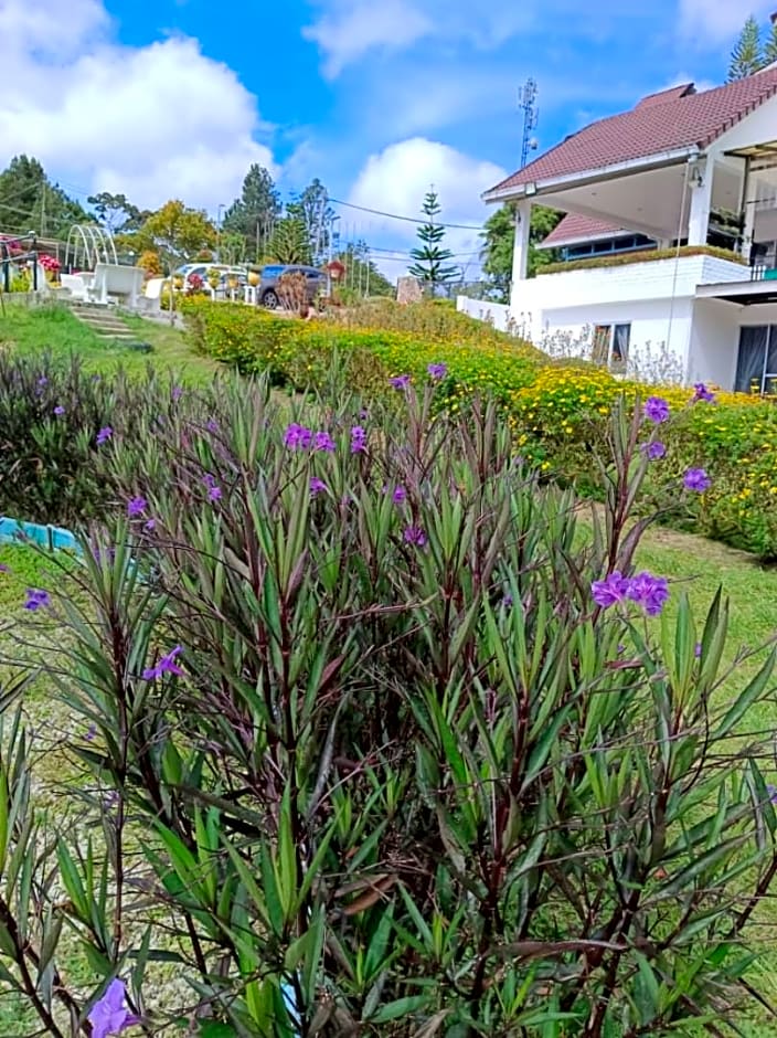 Dear Dino Villa Cameron Highlands