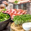 Best Western Plus Hotel Koeln City