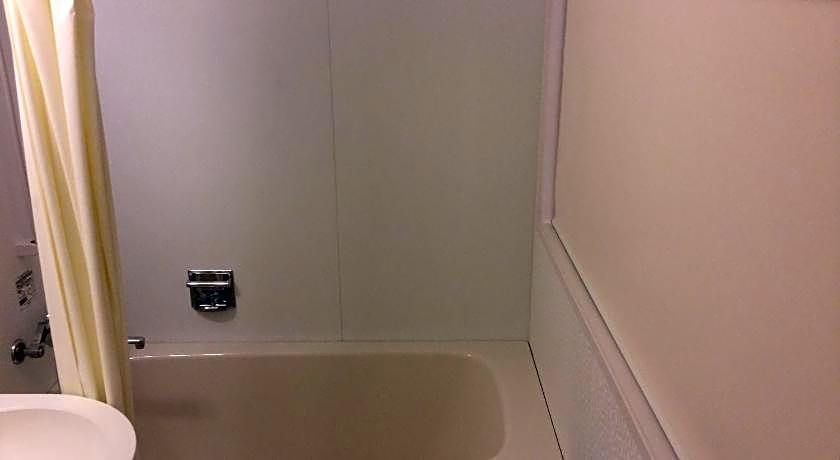 Shizutetsu Hotel Prezio Shizuoka-Ekikita