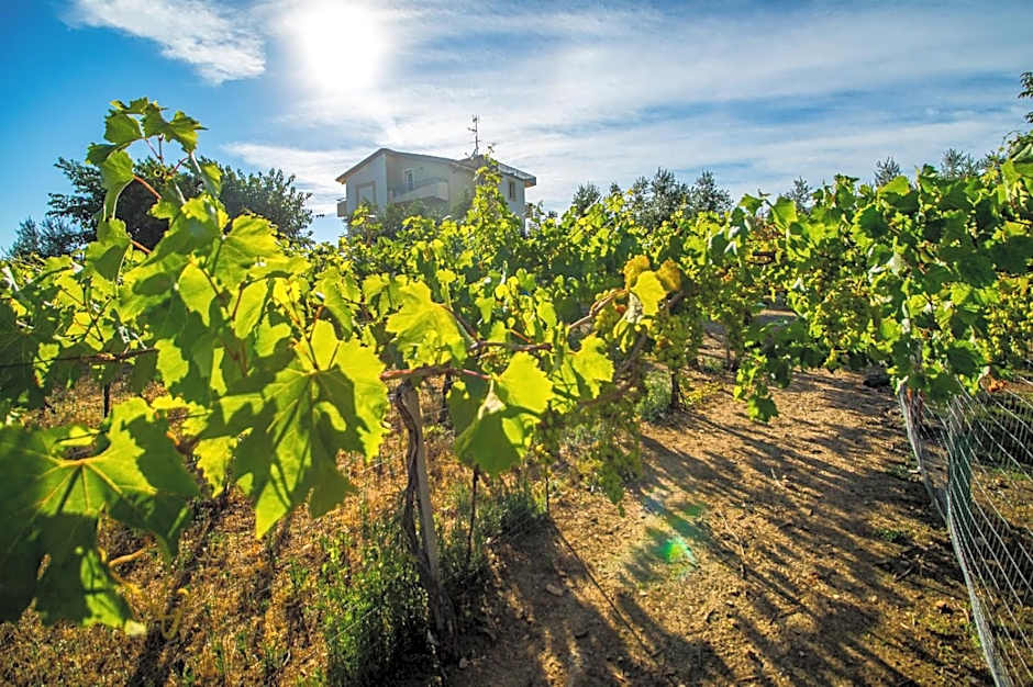 Il Gallo Con Gli Stivali