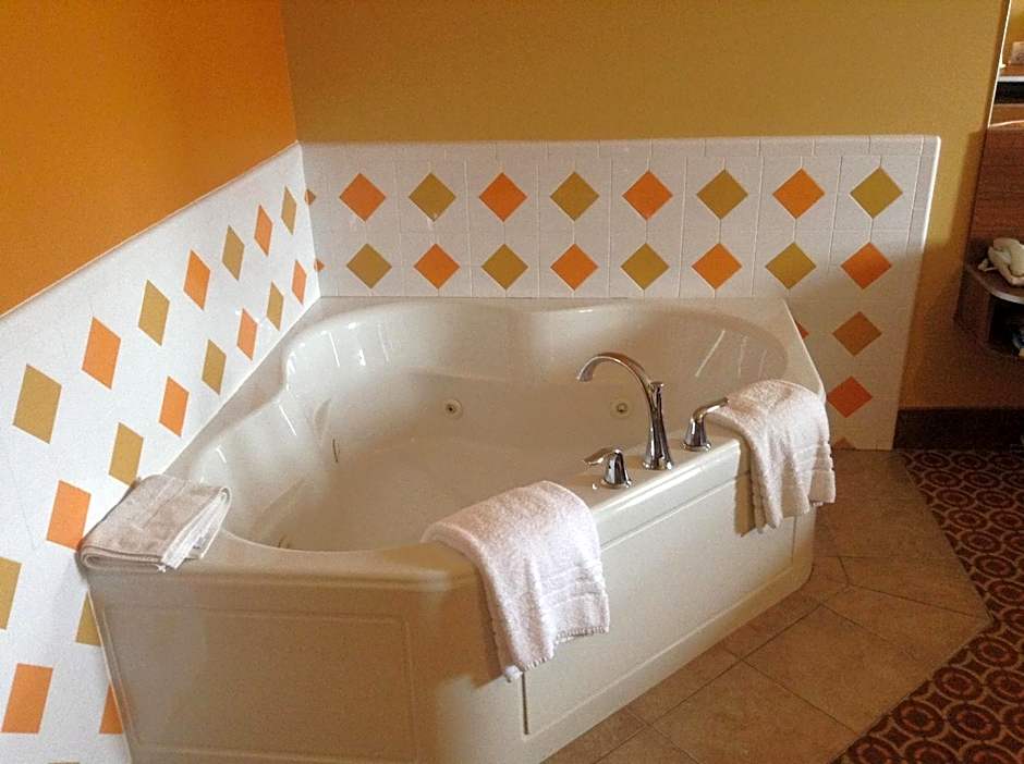 Microtel Inn & Suites By Wyndham South Bend/At Notre Dame