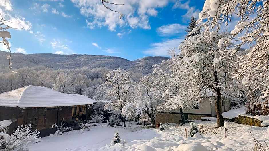 Little River Guest House