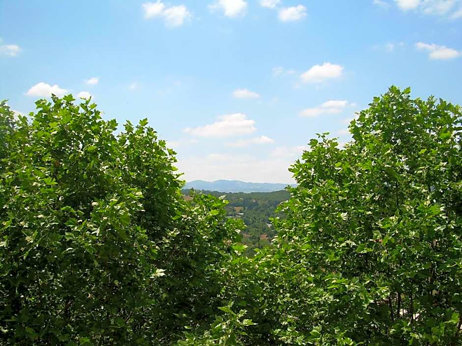 Domaine Lyon Saint Joseph