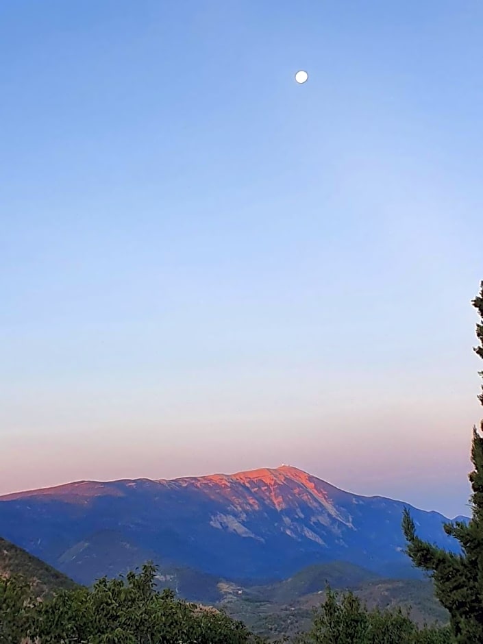 Malia - Chambres d'hôtes & Gîte