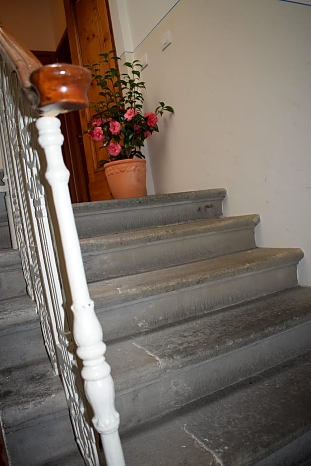 Hotel Dalmazia