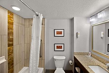 King Suite with Sofa Bed