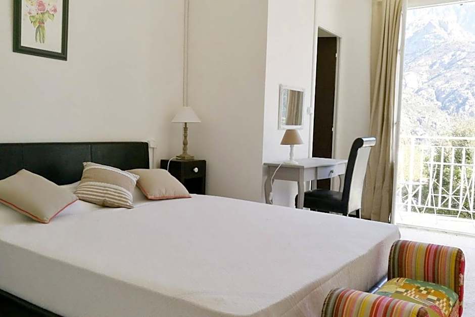 1er Consul SAS a Bussinca