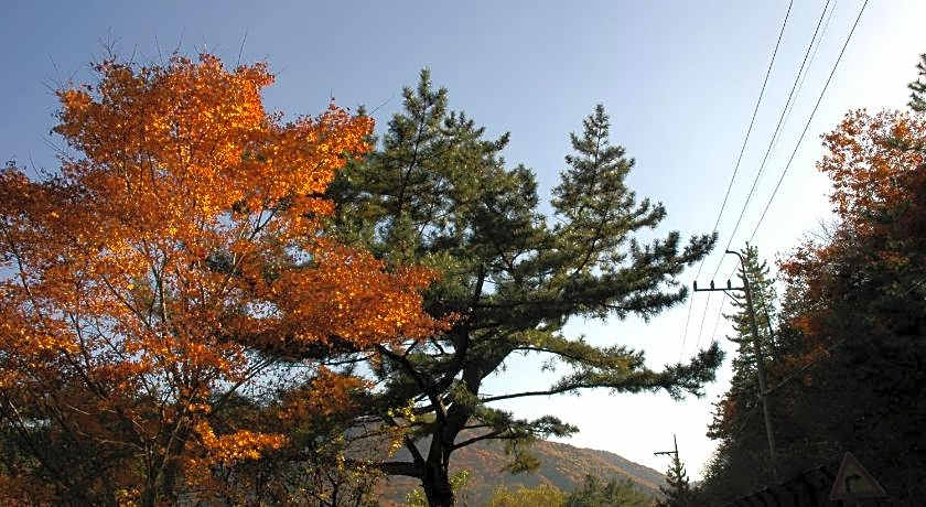 Namhae Neuhaus