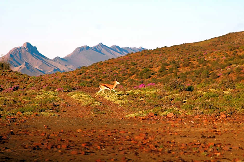 Bosch Luys Kloof Nature Reserve