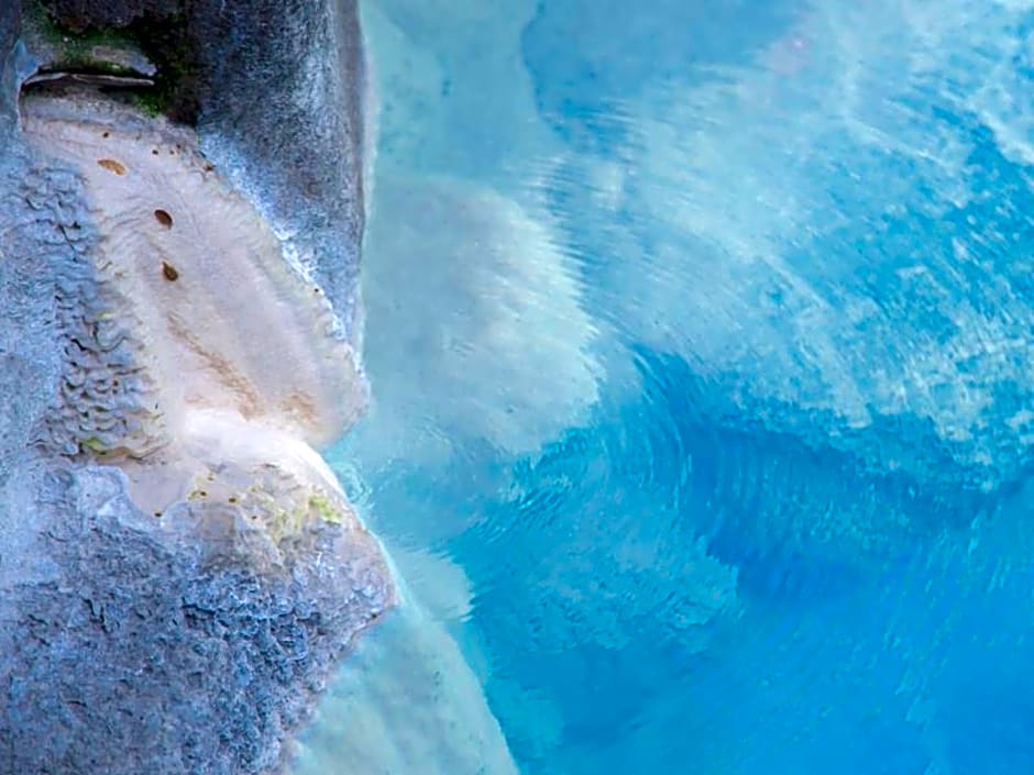 Ryokan Nobiru Sansou