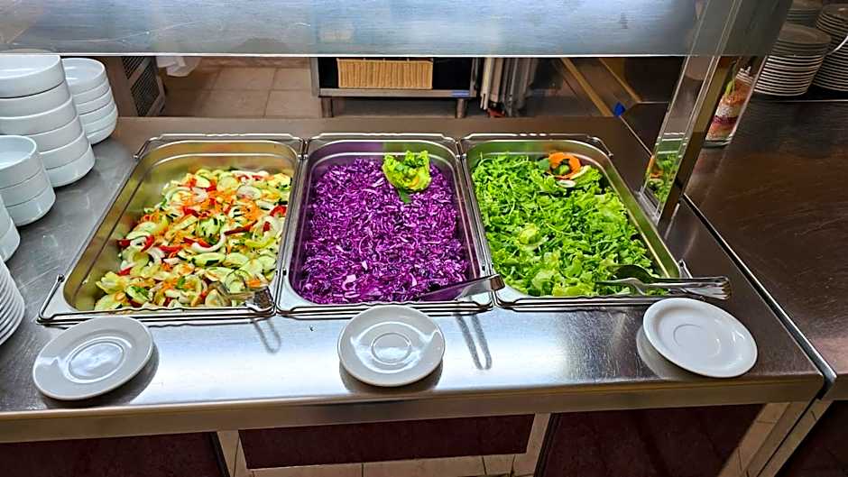 Hotel Vila Ružica- glavna zgrada i depandanse