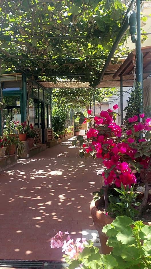 Villa dei fiori B&B