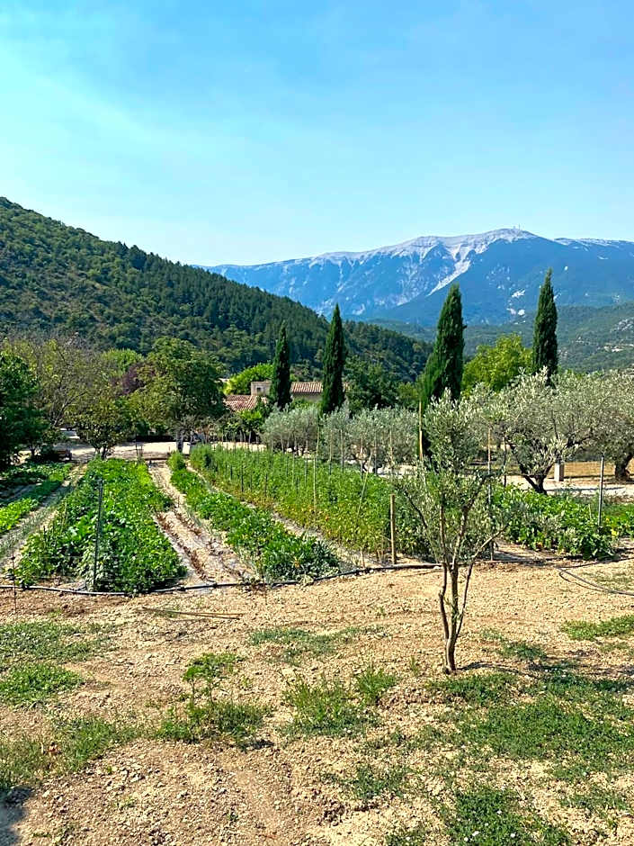 Chambre d'hôtes une fenêtre sur le Ventoux