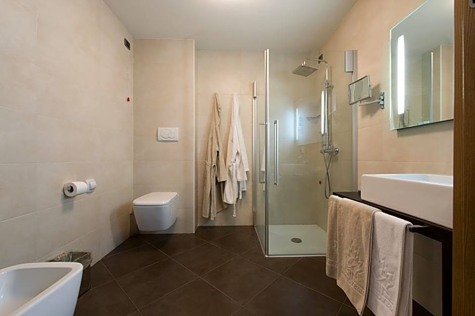 Hotel Vedig