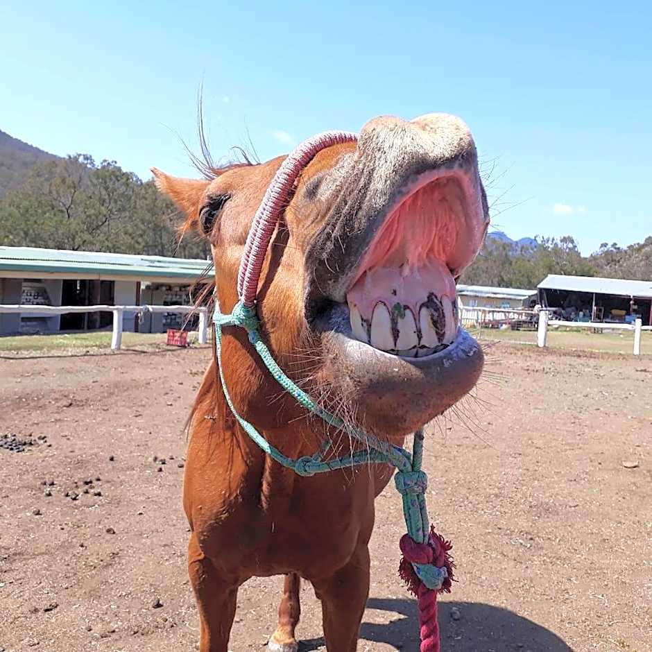 Bestbrook Mountain Farmstay