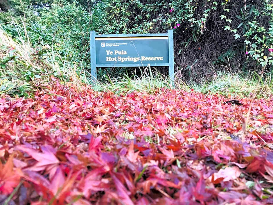 Te Puia Hot Springs Hotel