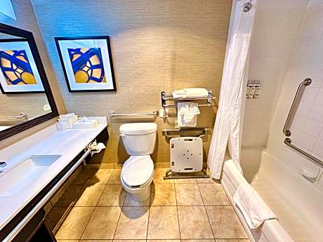 1 Queen Standard Mobil Accessible Tub