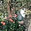 Villa Virginia