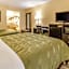 Quality Inn Stone Mountain