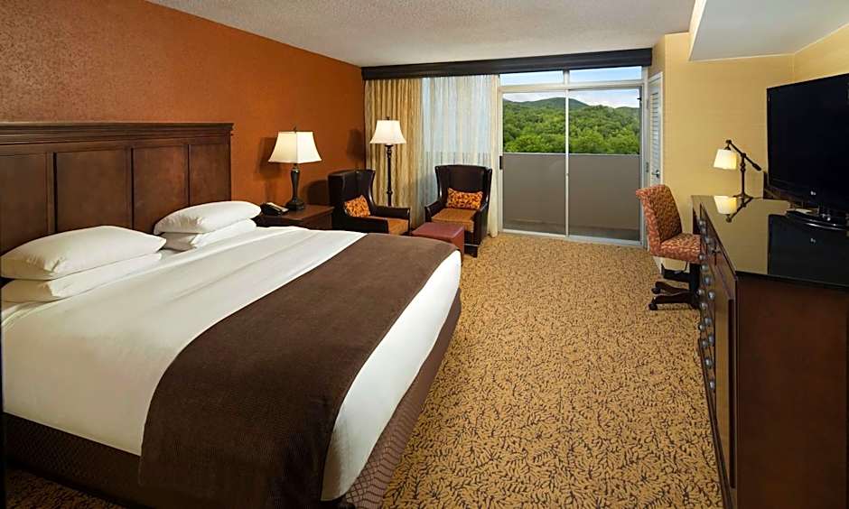 The Park Vista - A DoubleTree By Hilton Hotel - Gatlinburg